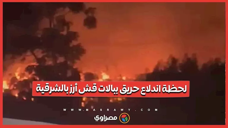 لحظة اندلاع حريق ببالات قش أرز بالشرقية.. ومواطن يستغيث: العزيزية بتولع يا أولاد لحظة اندلاع حريق ببالات قش أرز بالشرقية.. ومواطن يستغيث: العزيزية بتولع يا أولاد
