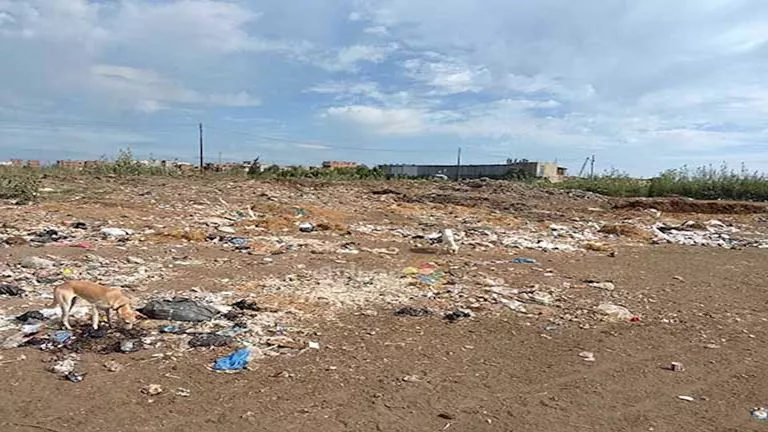 عقدان من الإغلاق يحولان مركز شباب الشطوط بكفر الشيخ إلى مبنى مهجور – ص عقدان من الإغلاق يحولان مركز شباب الشطوط بكفر الشيخ إلى مبنى مهجور - ص