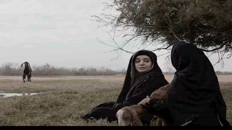 تعرف على تفاصيل فيلم الخبيث قبل مشاركته في مهرجان الجونة السينمائي -صدى الخبر تعرف على تفاصيل فيلم الخبيث قبل مشاركته في مهرجان الجونة السينمائي -صدى الخبر