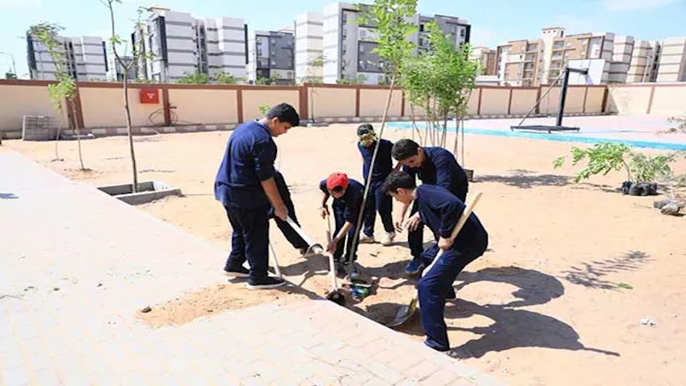التنمية المحلية والبيئة تزرع 150 شجرة بمدرسة الكرنك في بدر التنمية المحلية والبيئة تزرع 150 شجرة بمدرسة الكرنك في بدر