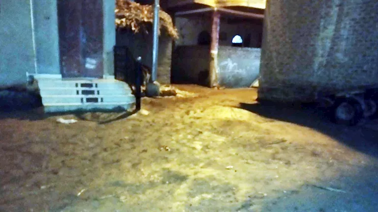 أمطار مفاجئة ورعد وبرق يضربون قنا والأقصر مساء اليوم – صور أمطار مفاجئة ورعد وبرق يضربون قنا والأقصر مساء اليوم - صور
