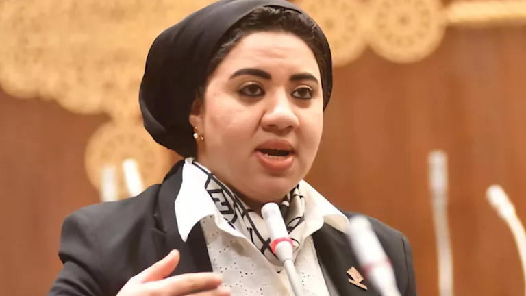 نائبة بالشيوخ: ذهبت إلى منتدى مصر 2026 بآمال كبيرة وجدت «محفل كلامي» نائبة بالشيوخ: ذهبت إلى منتدى مصر 2026 بآمال كبيرة وجدت «محفل كلامي»