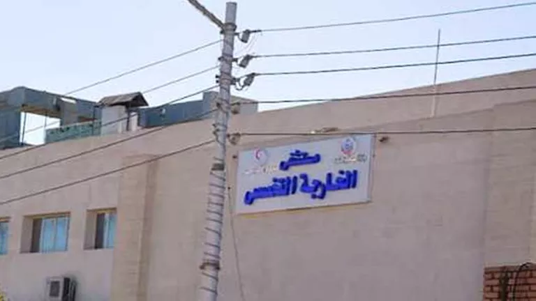 مصرع مُسن سقط من نخلة في الوادي الجديد -صدى الخبر مصرع مُسن سقط من نخلة في الوادي الجديد -صدى الخبر