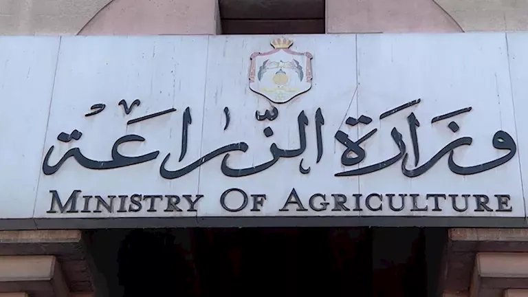 وزير الزراعة يوجه بتوفير التقاوي والأسمدة ودعم المزارعين للموسم الشتوى وزير الزراعة يوجه بتوفير التقاوي والأسمدة ودعم المزارعين للموسم الشتوى